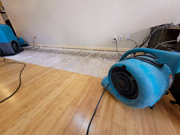 Professional Flood Damage Cleanup technician working in Catawissa, PA